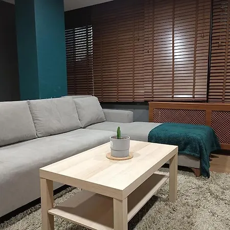 Lejlighed Downtown Dub.airconditioned 1+1 Comfort Deluxe&gym Istanbul