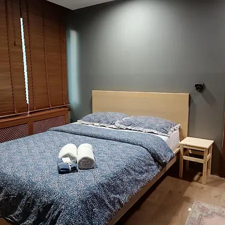 Downtown Dub.airconditioned 1+1 Comfort Deluxe&gym * 伊斯坦布尔